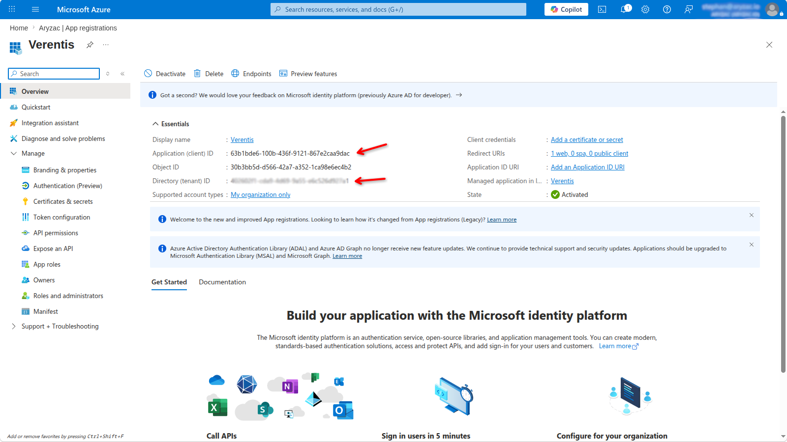 App Overview page showing the Application (client) ID and Directory (tenant) ID